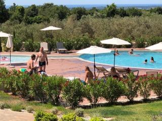 Papafigo Camping - Vodnjan - 3