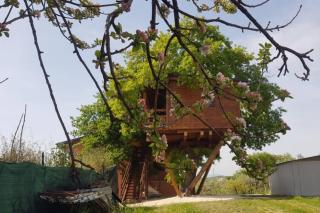 Casa sull'Albero Treehouse Costa dei Trabocchi - Torino di Sangro - 2