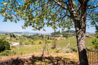 Comfortable house in Fornos with shared pool - Fornos - 5