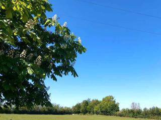 Great Sampford B&B Sorrells farm - Hempstead - 8