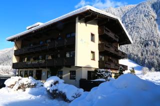 Apart-Garni Alpevita - Mayrhofen - 2