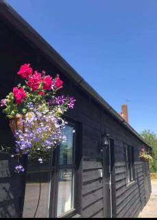 Great Sampford B&B Sorrells farm - Hempstead - 2