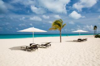 Bucuti & Tara Boutique Beach Resort - Adult Only - Palm-Eagle Beach - 8