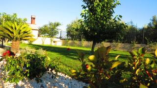 Casari rooms & apartments - 7