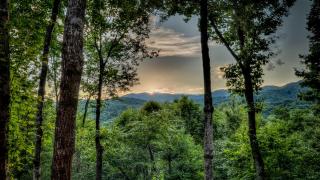 Poppy's Place - Ellijay - 7