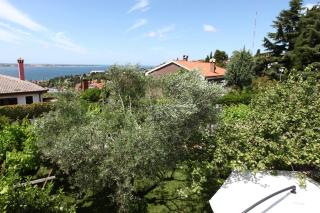 Comfort Family Apartment BUBOLA - Portorož - 7