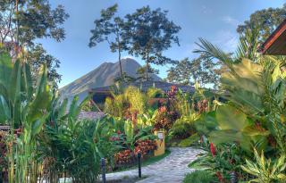Nayara Springs - Adults Only - Fortuna - 9