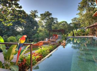 Nayara Springs - Adults Only - Fortuna - 6