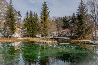Ferienhaus Fux - Your Lake and Ski Hideaway at Tauplitz near Hallstatt - 8
