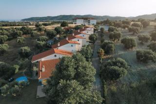 Studio Dalkidi Kalandra Possidi - 7