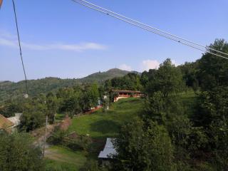 Cabana Taul Brazilor - Roşia Montană - 4