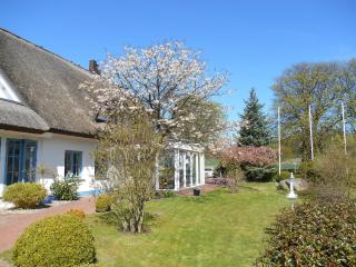 Landhotel Kastanienallee Putbus - Putbus - 3