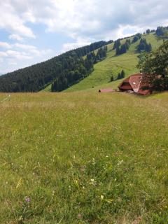 Chata u sovicky Malino Brdo - Ružomberok - 9
