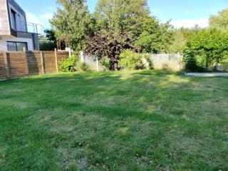 Pilets de la baie d'Authie - 3