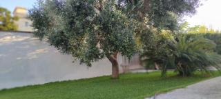 LA BELLA DIMORA - Otranto - 9