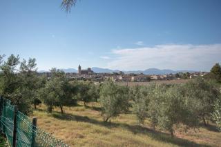 Es Flavo - Family only - 7