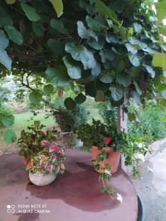 B&B Villa Sabrina - 1