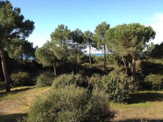 Tenuta le marze - Castiglione della Pescaia - 3