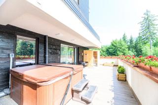 Mariah Spa Deluxe Apartment in SILVER MOUNTAIN - Poiana Brașov - 9