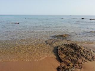 La casa dei fico d'india - 2