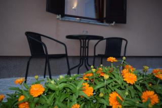 Apartman Nino - Novigrad (Cittanova) - 2