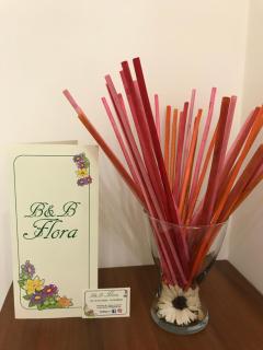 B&B Flora - Piazza Armerina - 4