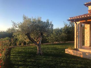 Holiday home in Visnjan - Istrien 41014 - Višnjan - 6