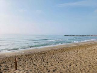 Apartments in Eraclea Mare 25559 - Eraclea Mare - 1