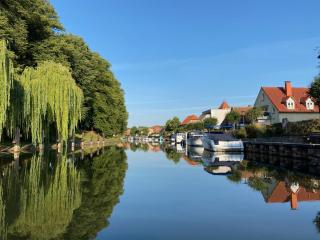 Villa Sonntag - Plau am See - 7