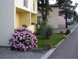 Apartments in Njivice - Insel Krk 39735 - 6