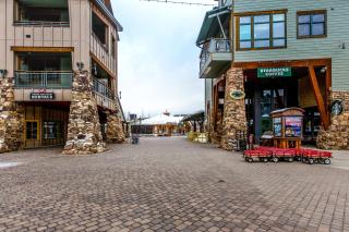 Ski-In Ski-Out Modern Mountain Condo - 2