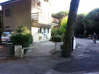Apartment in Rosolina Mare 24989 - Rosolina Mare - 0