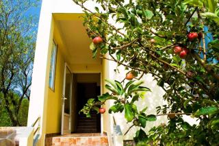 Apartments Seline/Paklenica Riviera 6833 - Jurlina - 5