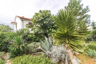 Apartments in Njivice/Insel Krk 13317 - Njivice - 1
