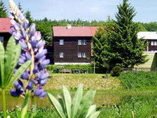 Apartments in Jachymov - Erzgebirge 34829 - Jáchymov - 0