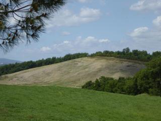 Farmhouse in Tuscany near Siena & Hot Springs - Castelnuovo Berardenga - 3