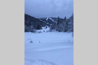 Bel appartement neuf équipé au pied des pistes du HONHECK - La Bresse - 6