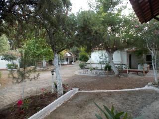 Peter's Village - Kalamaki Messinia - 7