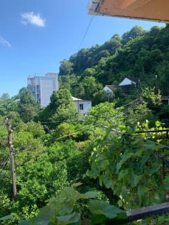 Guest house polaris - Gonio - 4