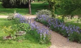 Hostellerie le Clos du Cher - Noyers-sur-Cher - 9