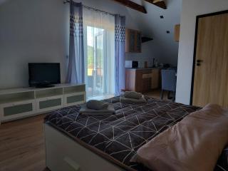 Go2Beskidy apartament ODSAPKA - Sękowa - 3