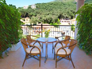 Nikas Villa Orange Apartments - Parga - 6