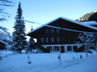 Schweiz ,Lenk Ferienwohnung,Kinderfreundl,Seniorenfreundlich - Lenk im Simmental - 3