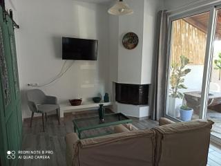 Cactus Home - 4