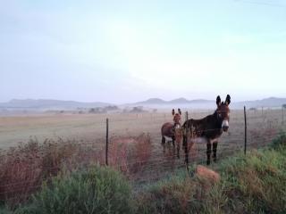 Rusthof Accommodation - Gansbaai - 9