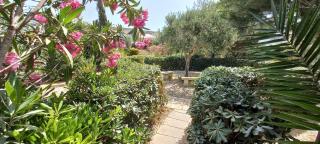 Dar Ta' Xmun - idyllic farmhouse with pool, garden, seaview & sunset - San Lawrenz - 5