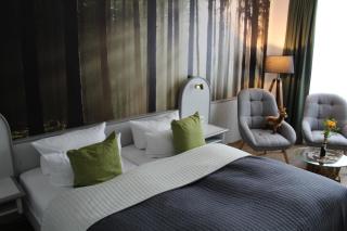 Hotel Rennsteig - Masserberg - 3