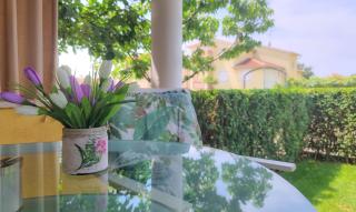 Roko - Novigrad Istria - 7