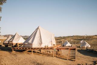 Lago Valle Wine Glamping - 2
