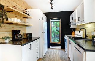 Chalets Alpins -09 Chemin Alpin - 4